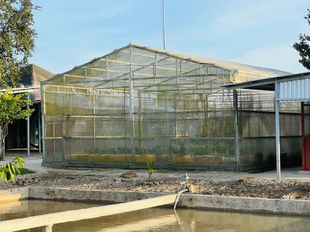 Đại gia Bạc Liêu rao bán gấp biệt phủ 200 tỷ khiến dân mạng sốc tận óc: Rộng 8,3 ha tầm cỡ khu du lịch, lối sống xa hoa không kém gì vua chúa-21