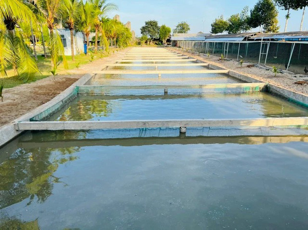 Đại gia Bạc Liêu rao bán gấp biệt phủ 200 tỷ khiến dân mạng sốc tận óc: Rộng 8,3 ha tầm cỡ khu du lịch, lối sống xa hoa không kém gì vua chúa-23