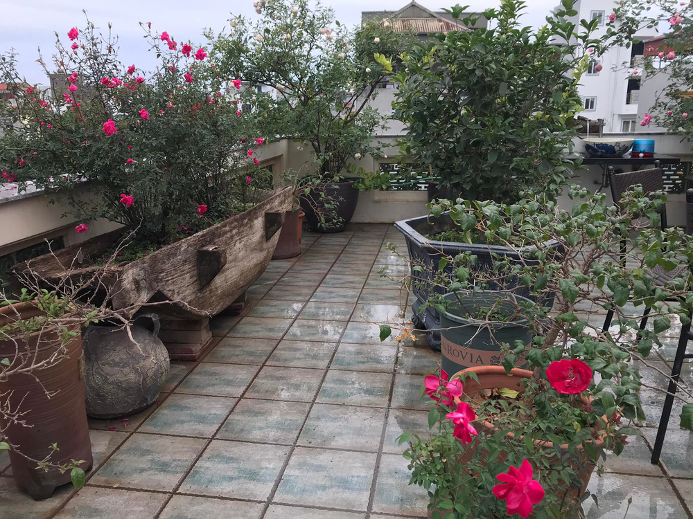 Ngôi nhà có thiết kế đặc biệt của vợ chồng NSND Lê Khanh ở Tây Hồ-1