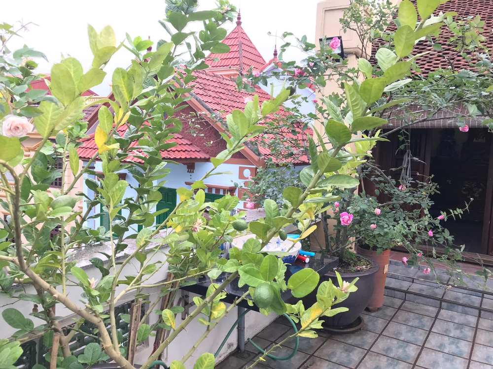 Ngôi nhà có thiết kế đặc biệt của vợ chồng NSND Lê Khanh ở Tây Hồ-3