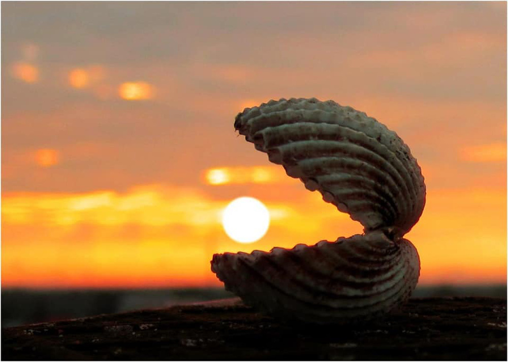 Muôn kiểu sắm vàng” ngày Thần Tài: Không biết nên để dành hay ăn luôn!-8