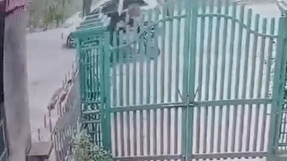 Nữ sinh lớp 8 bị bố bạn học đánh nhập viện-2