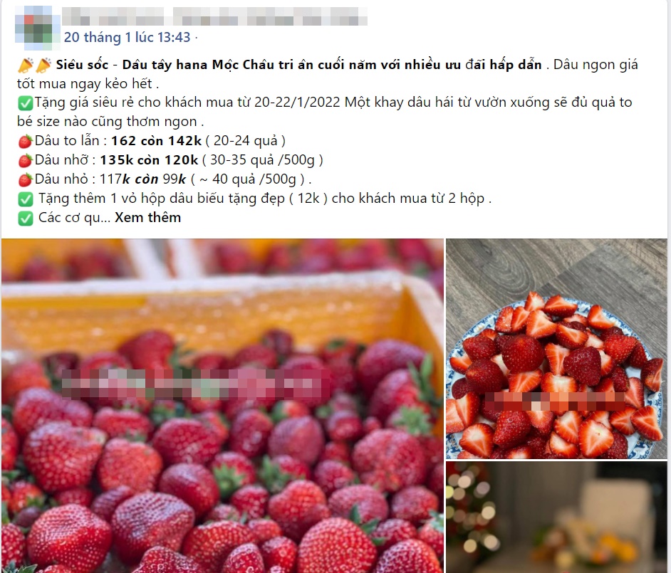 Dâu tây Mộc Châu nhuộm đỏ chợ mạng, loại rẻ nhất giá chỉ 110k/kg-5