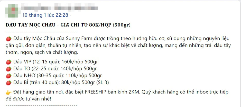 Dâu tây Mộc Châu nhuộm đỏ chợ mạng, loại rẻ nhất giá chỉ 110k/kg-3