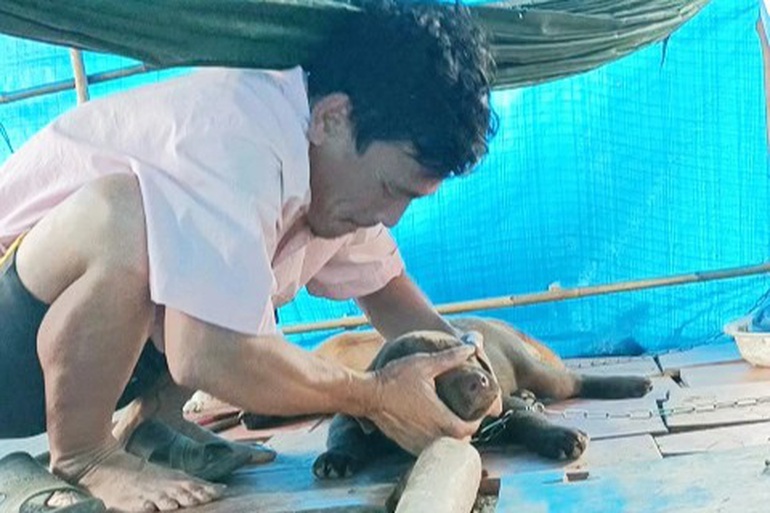 Cuộc sống khác thường của người đàn ông gây dựng lại đàn chó bị tiêu hủy-3