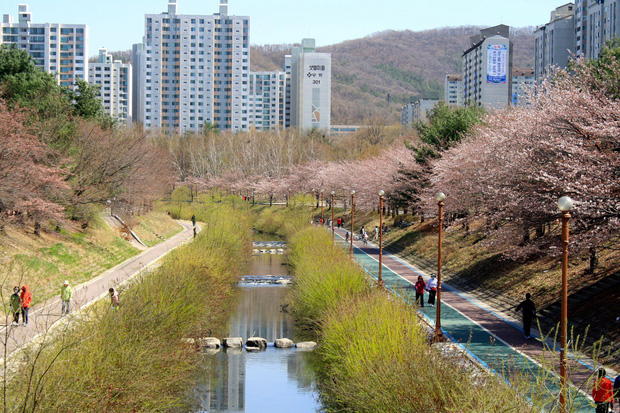 Song Hye Kyo phản ứng ra sao khi tình cũ Hyun Bin tuyên bố kết hôn với Son Ye Jin?-4