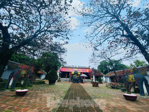 Nam Định đóng cửa đền Trần Rằm tháng Giêng, không tổ chức lễ khai ấn-4
