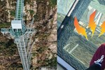 Yêu cầu thay thế tấm kính nứt vỡ trên cầu kính cao nhất Việt Nam trong 10 ngày-3