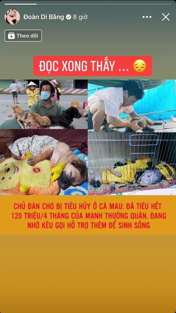 Nữ đại gia quận 7 phản ứng trước thông tin chủ đàn chó ở Cà Mau bị tố tiêu cạn 120 triệu trong 4 tháng: Mất niềm tin quá, buồn vì giúp sai người-2