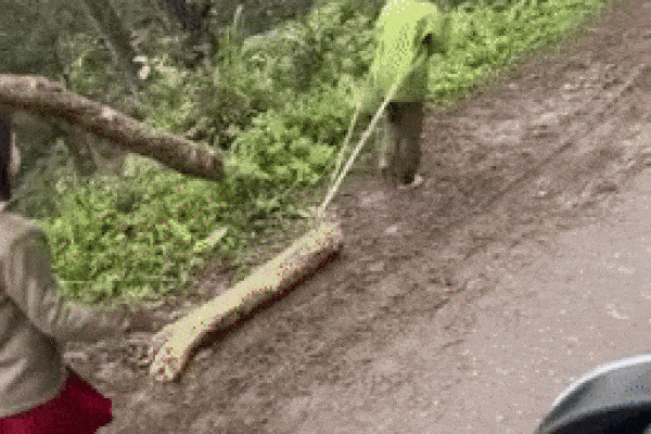 Xót xa hình ảnh những em bé vùng cao mặc áo mỏng manh, đi chân trần kéo gỗ giữa cái rét căm của vùng núi-1