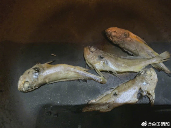 Về quê ăn Tết 7 ngày mà quên tắt bếp ga, khi trở về chàng trai được chứng kiến cảnh tượng hú hồn ghi nhớ cả đời-2