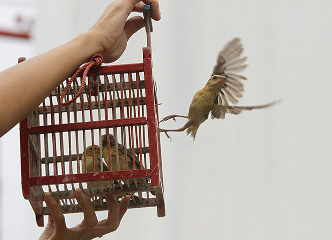 Những điều nên làm vào ngày Rằm tháng Giêng để một năm may mắn, thuận lợi mọi bề-2