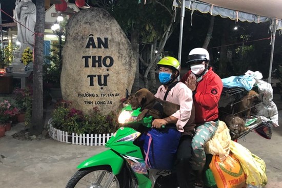 Hình ảnh mới nhất của chủ đàn chó bị tiêu huỷ ở Cà Mau: Hai vợ chồng ghé thăm chú chó còn sót lại trước khi lên Long An làm việc