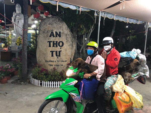 Hình ảnh mới nhất của chủ đàn chó bị tiêu huỷ ở Cà Mau: Hai vợ chồng ghé thăm chú chó còn sót lại trước khi lên Long An làm việc-1