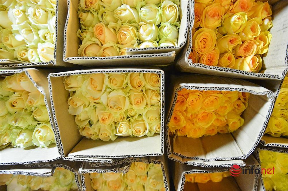 Chợ hoa lớn nhất Hà Nội ngày Valentine: Hoa đẹp, xịn khách vắng tanh, chỗ đông đúc là nơi bán hoa cúc cúng rằm-6