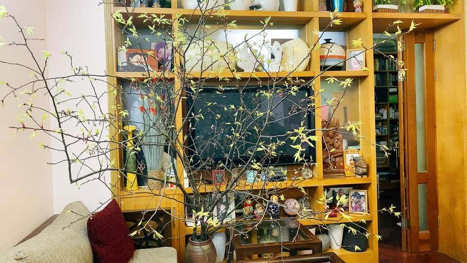 Hé lộ không gian sống của MC Thảo Vân với con trai 17 tuổi-7