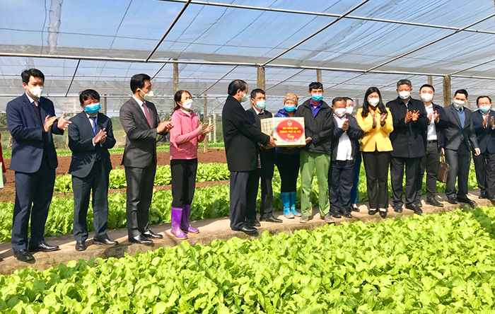 Hội Nông dân Thành phố phát động Tết trồng cây đời đời nhớ ơn Bác Hồ” Xuân Nhâm Dần-4