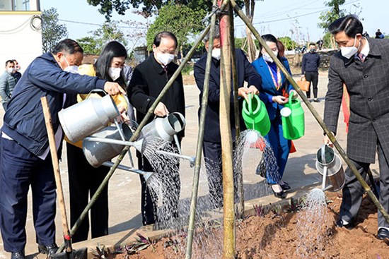 Hội Nông dân Thành phố phát động “Tết trồng cây đời đời nhớ ơn Bác Hồ” Xuân Nhâm Dần