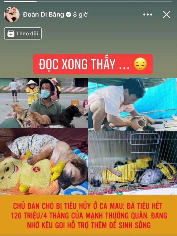 Chủ nhân đàn chó ở Cà Mau gửi lời đến nữ đại gia quận 7: Nếu chị nằm trong hoàn cảnh tui chị mới biết, tui không làm gì để chị thất vọng đâu...-1