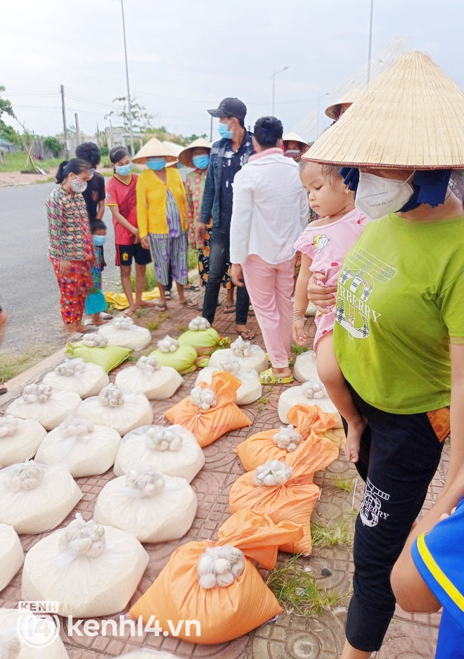 Chủ nhân đàn chó ở Cà Mau gửi lời đến nữ đại gia quận 7: Nếu chị nằm trong hoàn cảnh tui chị mới biết, tui không làm gì để chị thất vọng đâu...-6