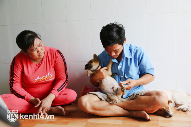 Chủ nhân đàn chó ở Cà Mau gửi lời đến nữ đại gia quận 7: Nếu chị nằm trong hoàn cảnh tui chị mới biết, tui không làm gì để chị thất vọng đâu...-13