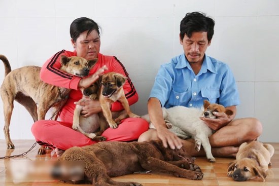 Chủ nhân đàn chó ở Cà Mau gửi lời đến nữ đại gia quận 7: 