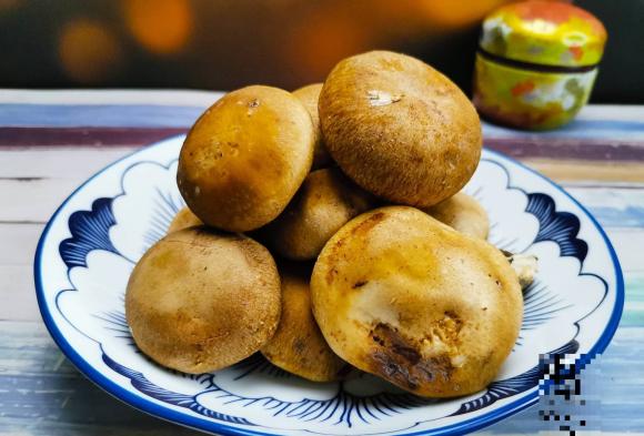 Nấm khô và nấm tươi loại nào đậm đà, chất dinh dưỡng cao hơn? Đọc xong mình hiểu rồi, sẽ không bao giờ dùng sai nữa!-1