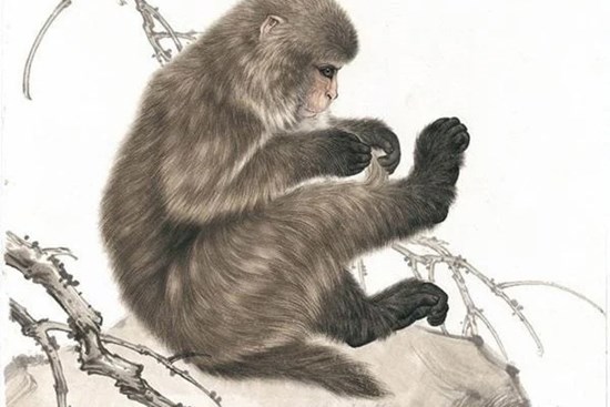 Tháng 3 dương lịch: 3 con giáp chính thức hết khổ, trúng số đổi đời, sau một đêm thành tỷ phú