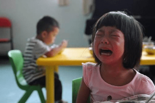 Mẹ stress vì con thay đổi tính nết, sợ hãi khi đến lớp: Liệu có nên dồn ép trẻ đi học sớm không?-2