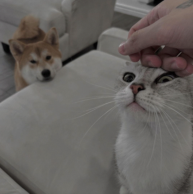 Bên trong biệt thự của Sơn Tùng và Hải Tú: Rộng rãi sang trọng, camera tứ phía, hàng online nằm la liệt cả ngày chẳng ai nhận-7