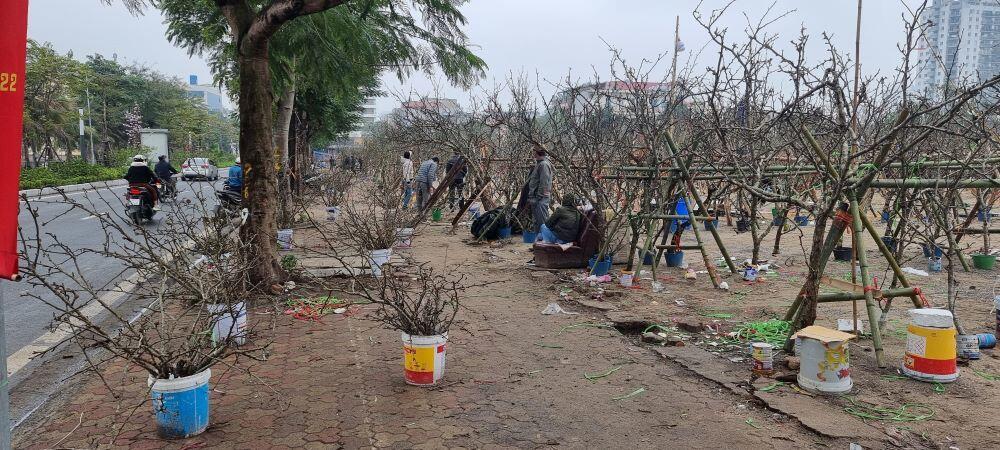 Người Hà Nội chi tiền triệu chơi lê rừng sau Tết-3
