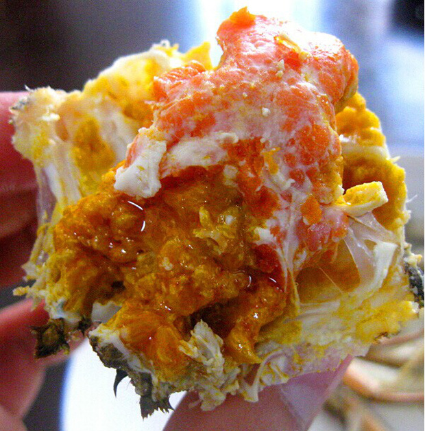 Ăn hải sản mấy chục năm ai nghĩ đơn giản PHẦN MÀU VÀNG trong con cua biển là GẠCH đều sai hết rồi nhé!-2