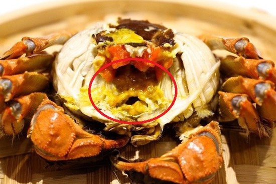 Ăn hải sản mấy chục năm ai nghĩ đơn giản PHẦN MÀU VÀNG trong con cua biển là GẠCH đều sai hết rồi nhé!