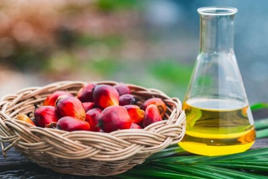 Đây là loại dầu 