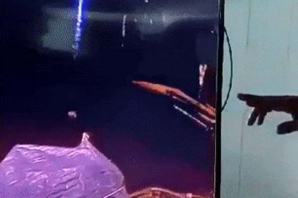 Clip sốc vụ bé gái 5 tuổi bị ném xuống sông ở Quảng Nam phơi bày sự nhẫn tâm của gã cha ruột, dòng nước đen ngòm nhấn chìm hi vọng tìm kiếm