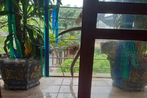 Người thân và hàng xóm tiết lộ về nghi phạm nổ súng, sát hại vợ chồng ở Thái Nguyên-3