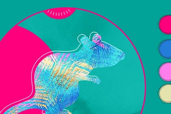 Vận may 12 con giáp trong nửa đầu năm 2022: Nhiều người tìm được cơ hội đổi đời, từ tháng 2 âm lịch tài vận khởi sắc