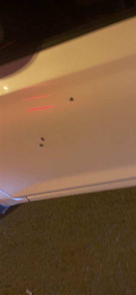 Xe Việt kiều Mỹ bị 2 thanh niên nổ nhiều phát súng ở TP.HCM-1