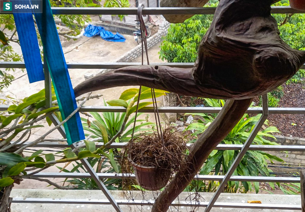 Vụ nổ súng 2 người chết ở Thái Nguyên: Gia đình nạn nhân khẳng định đã trả hết nợ-2