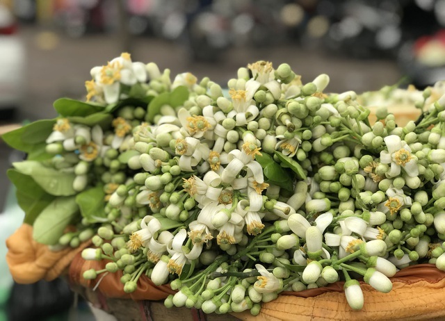 Hoa bưởi đầu mùa xuống phố, đắt như hoa nhập ngoại vẫn cháy hàng-1