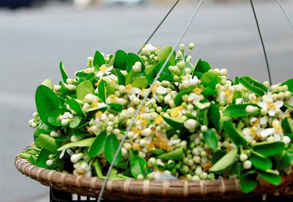 Hoa bưởi đầu mùa xuống phố, đắt như hoa nhập ngoại vẫn cháy hàng-3