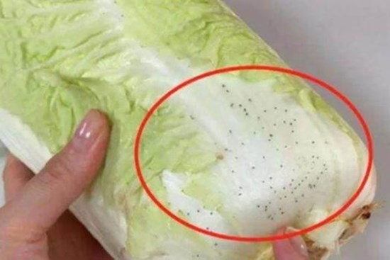 Những đốm đen đó trên lá cải thảo là gì? Bạn có thể ăn nó? Cuối cùng tôi đã tìm ra câu trả lời