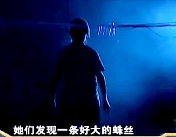 Người phụ nữ tuyệt thực 29 năm và bắt đầu uống nước sống qua ngày sau một lần gặp nhện tinh, chân tướng hé lộ bởi câu nói của con gái-2