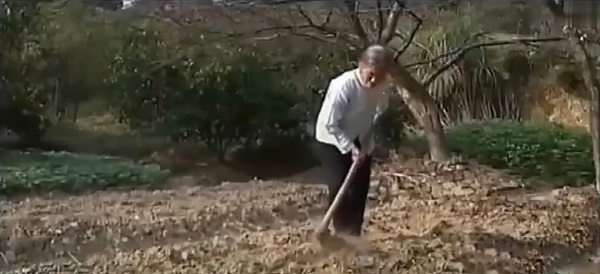 Người phụ nữ tuyệt thực 29 năm và bắt đầu uống nước sống qua ngày sau một lần gặp nhện tinh, chân tướng hé lộ bởi câu nói của con gái-4