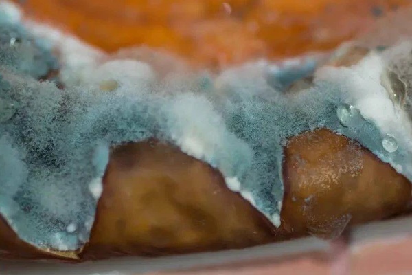 5 loại thực phẩm là bom hẹn giờ” hại gan, thậm chí gây ung thư gan, thơm ngon mấy cũng nên ăn càng ít càng tốt-2