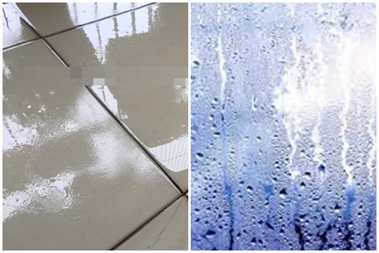 Mẹo chống ẩm ướt trong nhà vào mùa nồm đơn giản nhưng hiệu quả bất ngờ, cái số 1 nhiều người hay làm sai nhất