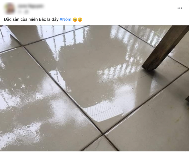 Người Hà Nội phát điên với đặc sản trời nồm: Đồ vật trong nhà đều toát mồ hôi hột, đi không cẩn thận liền ngã sấp mặt vì nền nhà ướt sũng nước-4