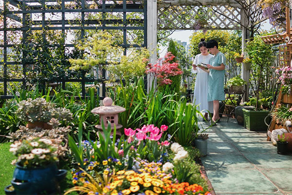 Khu vườn sai trĩu của chàng trai bị liệt hai chân, ngồi trên xe lăn chăm rau, quả mỗi ngày-34