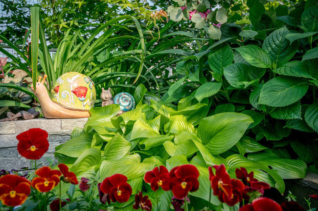 Người phụ nữ 45 tuổi biến toàn bộ không gian sân thượng thành khu vườn địa đàng-16