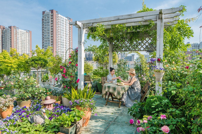 Người phụ nữ 45 tuổi biến toàn bộ không gian sân thượng thành khu vườn địa đàng-2